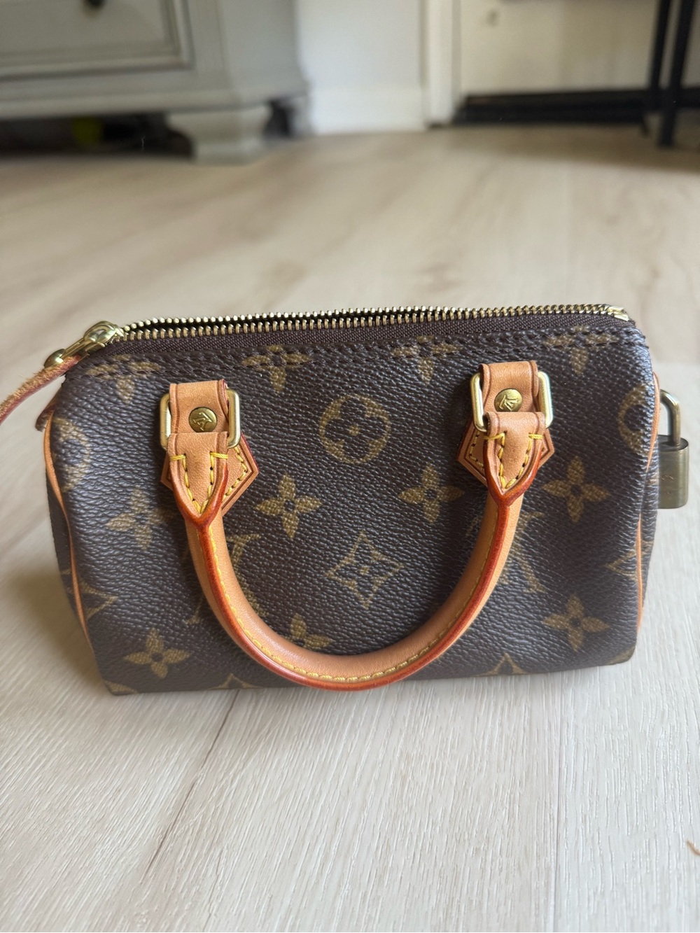 Louis Vuitton Speedy mini HL - Picture 2 of 11